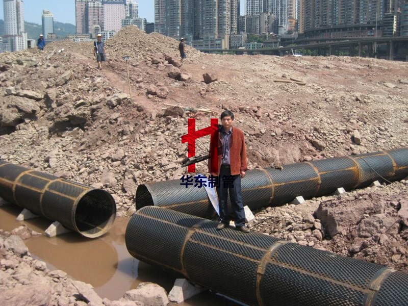 重庆饮水3_副本.jpg